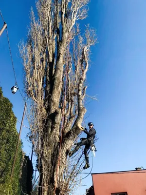 Ukázka výškových prací v Opavě a okolí - realizace veVÝŠCE.cz č. 13