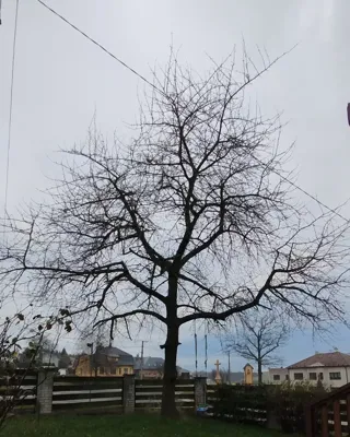 Ukázka výškových prací v Opavě a okolí - realizace veVÝŠCE.cz č. 31