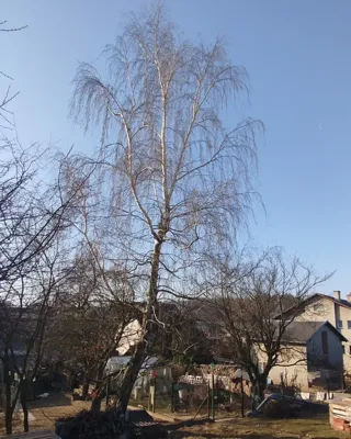 Ukázka výškových prací v Opavě a okolí - realizace veVÝŠCE.cz č. 47